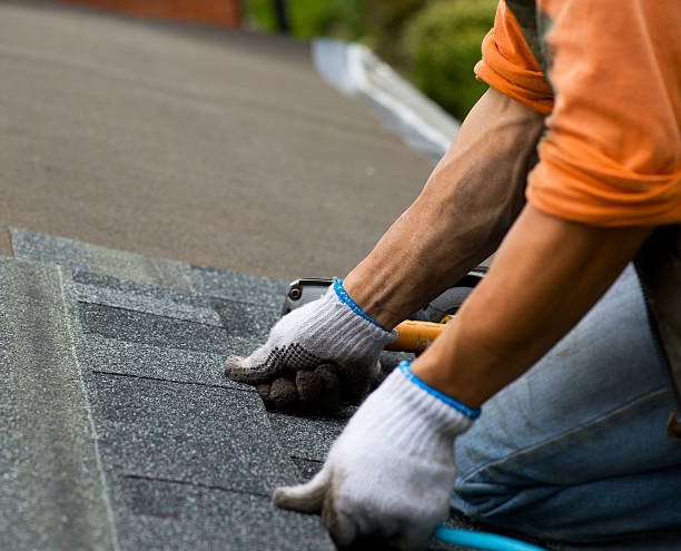 Best Roof Restoration Services  in Piney Mountain, VA